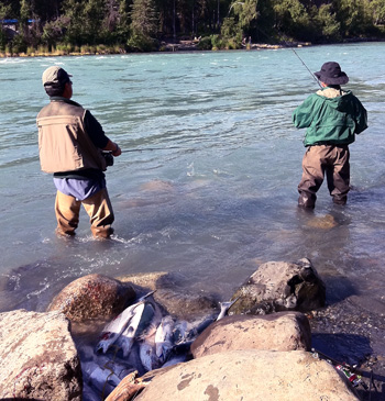 Fishing for sockeye salmon at Bing's Landing on Alaska's Kenai River