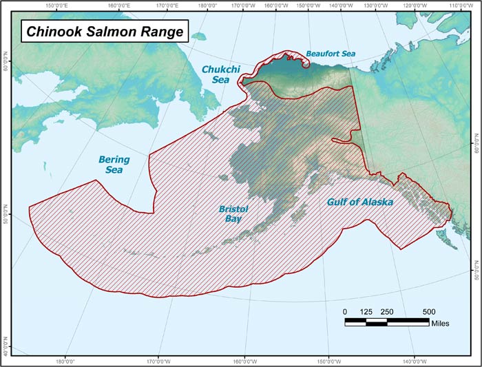 King salmon distribution in Alaska (ADF&G map)