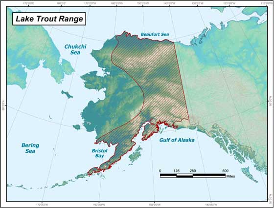 ADF&G map showing lake trout distribution in Alaska
