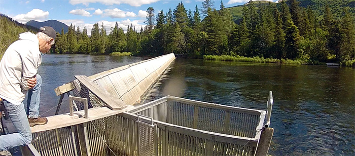 Salmon counting weir on Alaska's Russian River