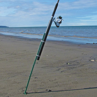 sand spike on the beaches of Cook Inlet near Ninilchik, Alaska