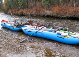Pro Pioneer canoes on a narrow stream