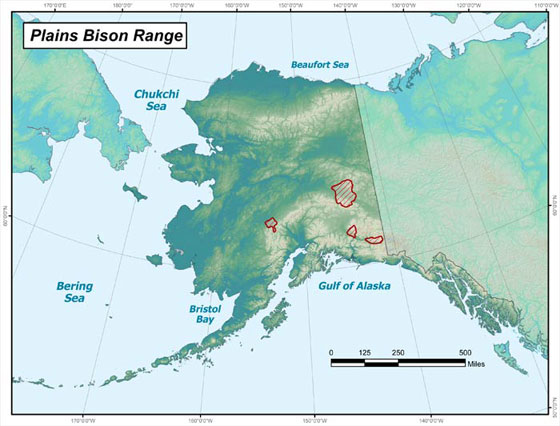 Plains bison range in Alaska