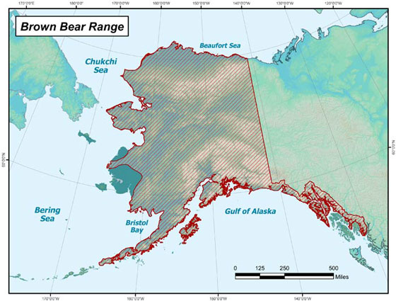 ADFG Brown Bear Range Map
