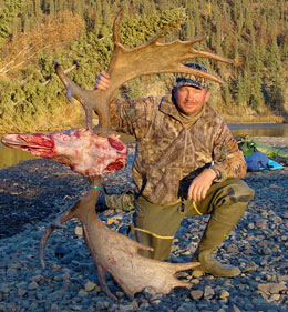 European mount for moose taken on the Dishna River, Alaska