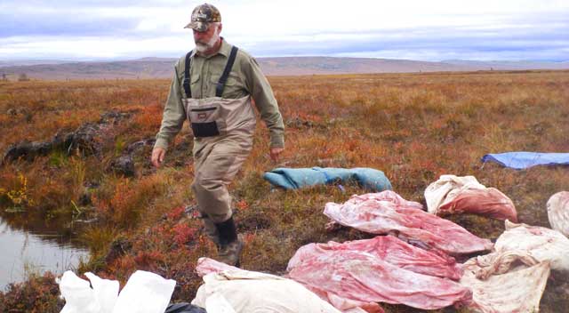 Meat care on open tundra