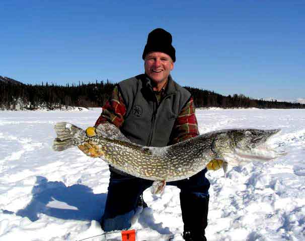 large northern caught through the ice