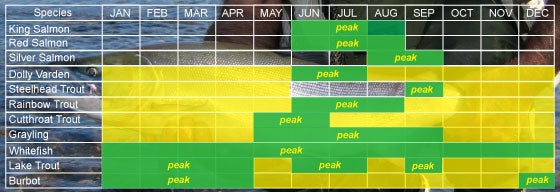 Peak freshwater fishing times for Cordova, Alaska