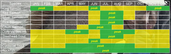 Saltwater peak fishing time chart for Cordova, Alaska