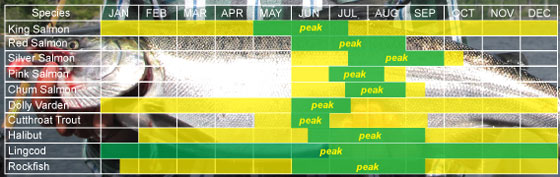 Ketchikan saltwater fishing run timing chart