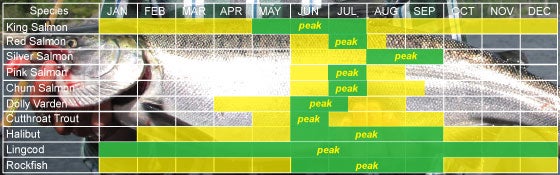 Sitka, Alaska saltwater fishing run timing chart