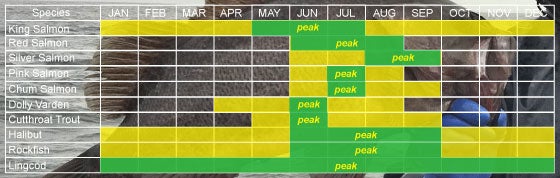 Saltwater salmon run timing for Yakutat Alaska