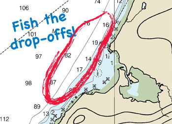 halibut fishing tip