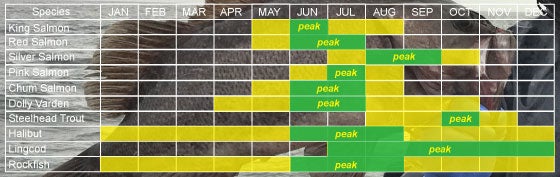 Saltwater fish run timing chart for Kodiak Island, Alaska