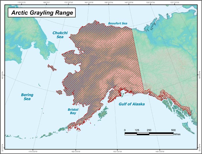 arcticgrayling largemap