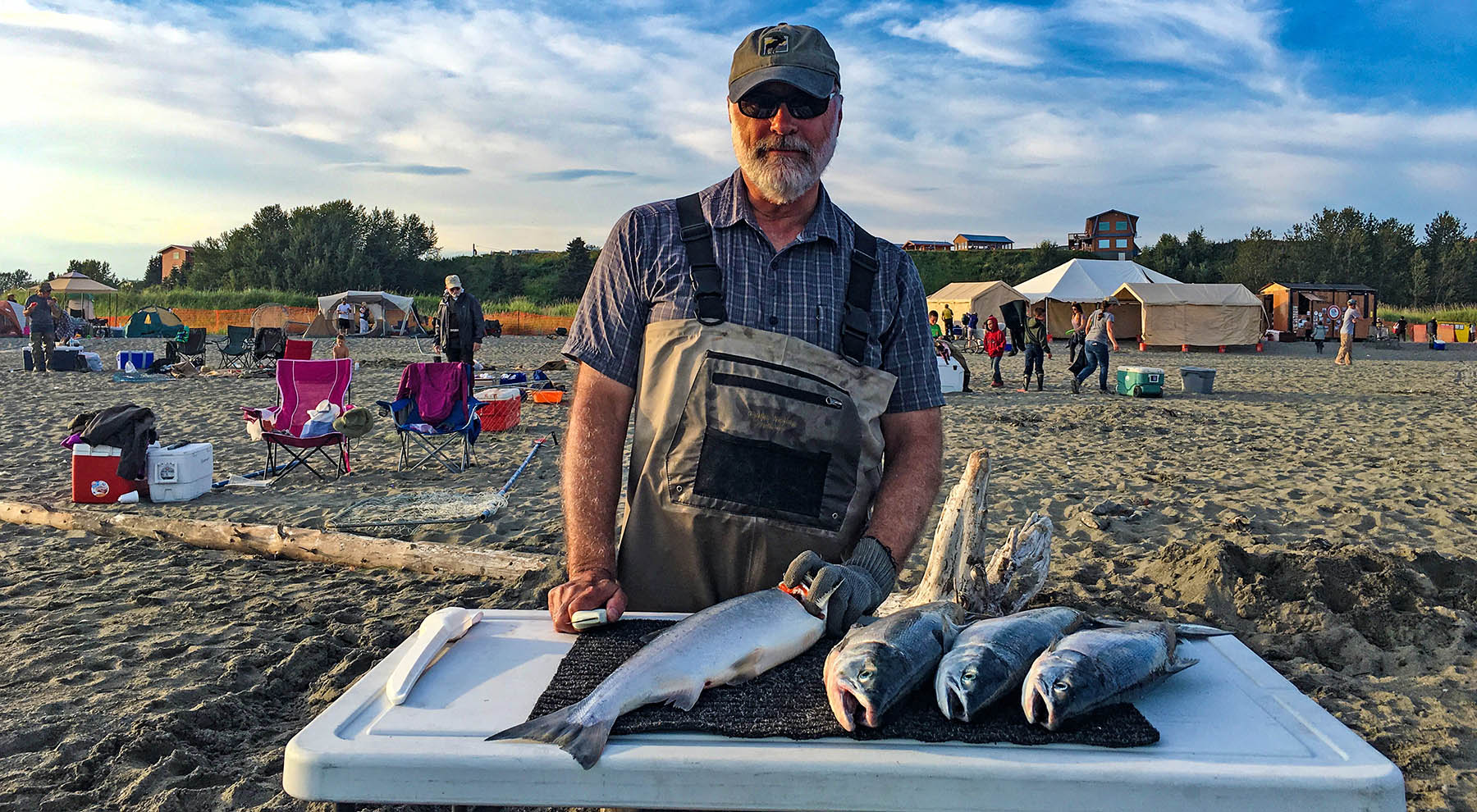 Filleting sockeye salmon on the Kenai River, Alaska