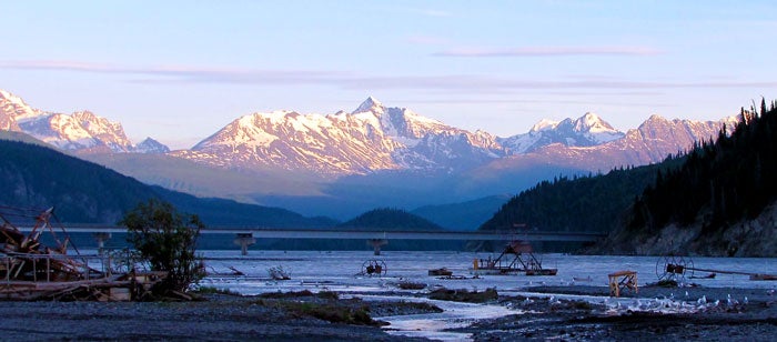 Dip Net Fishing for salmon in the Copper River, Alaska -- catching silvers  and kings 