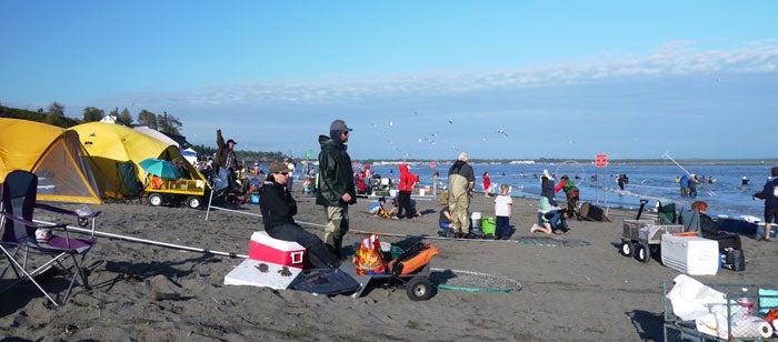 dipnetting on the beach at Alaska's Kenai River