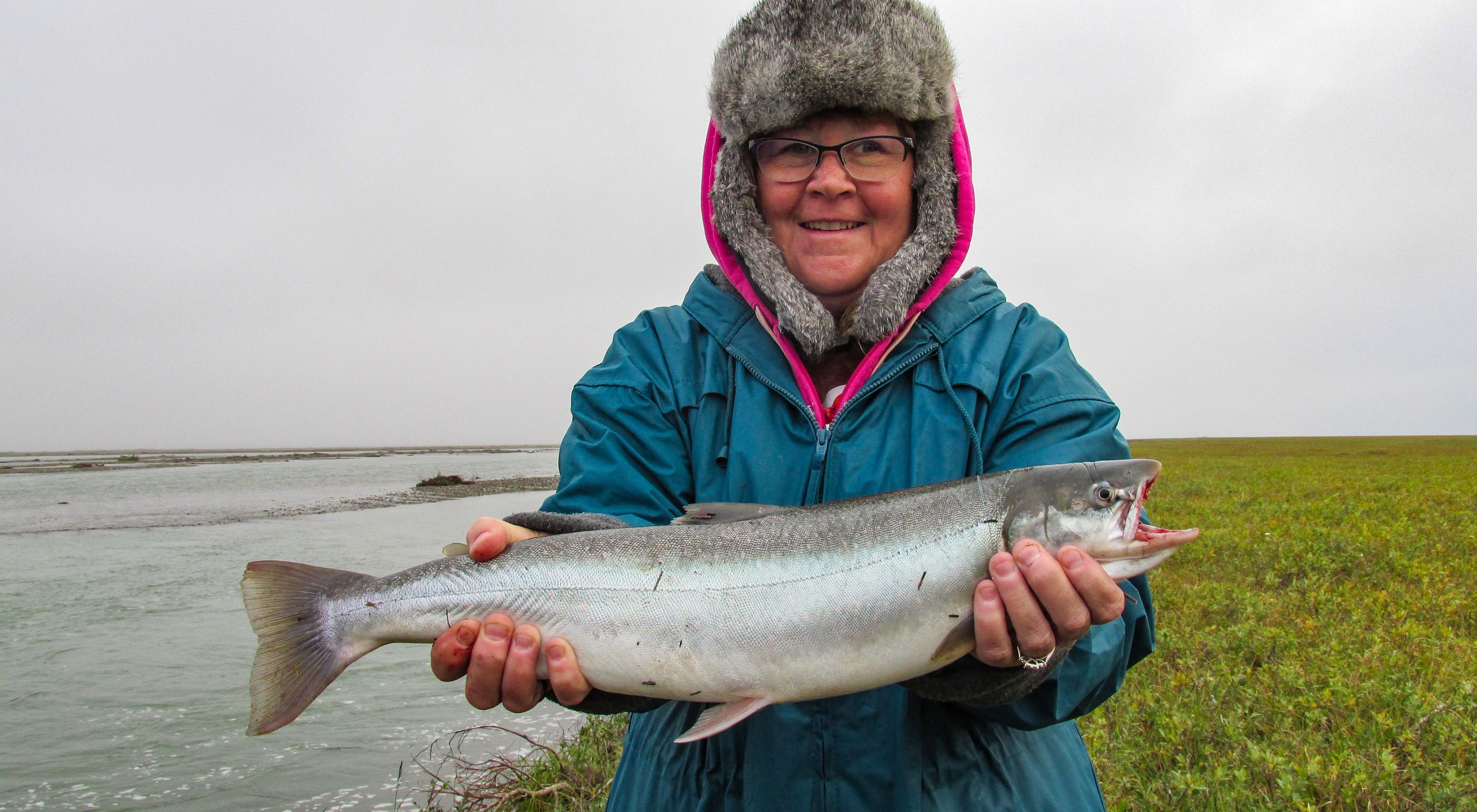 Dolly Varden  Alaska Fishing - Alaska Outdoors Supersite