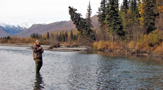 Alaska Saltwater Fishing - Alaska Outdoors Supersite