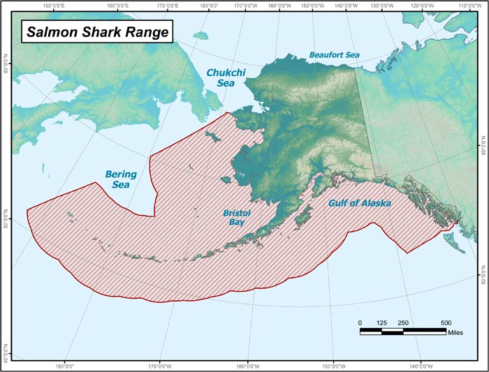 salmonshark largemap