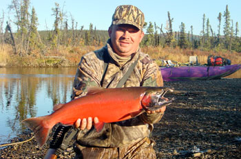 Henry Passerini with a mature female coho salmon caught on a fall float hunting trip for moose in Alaska