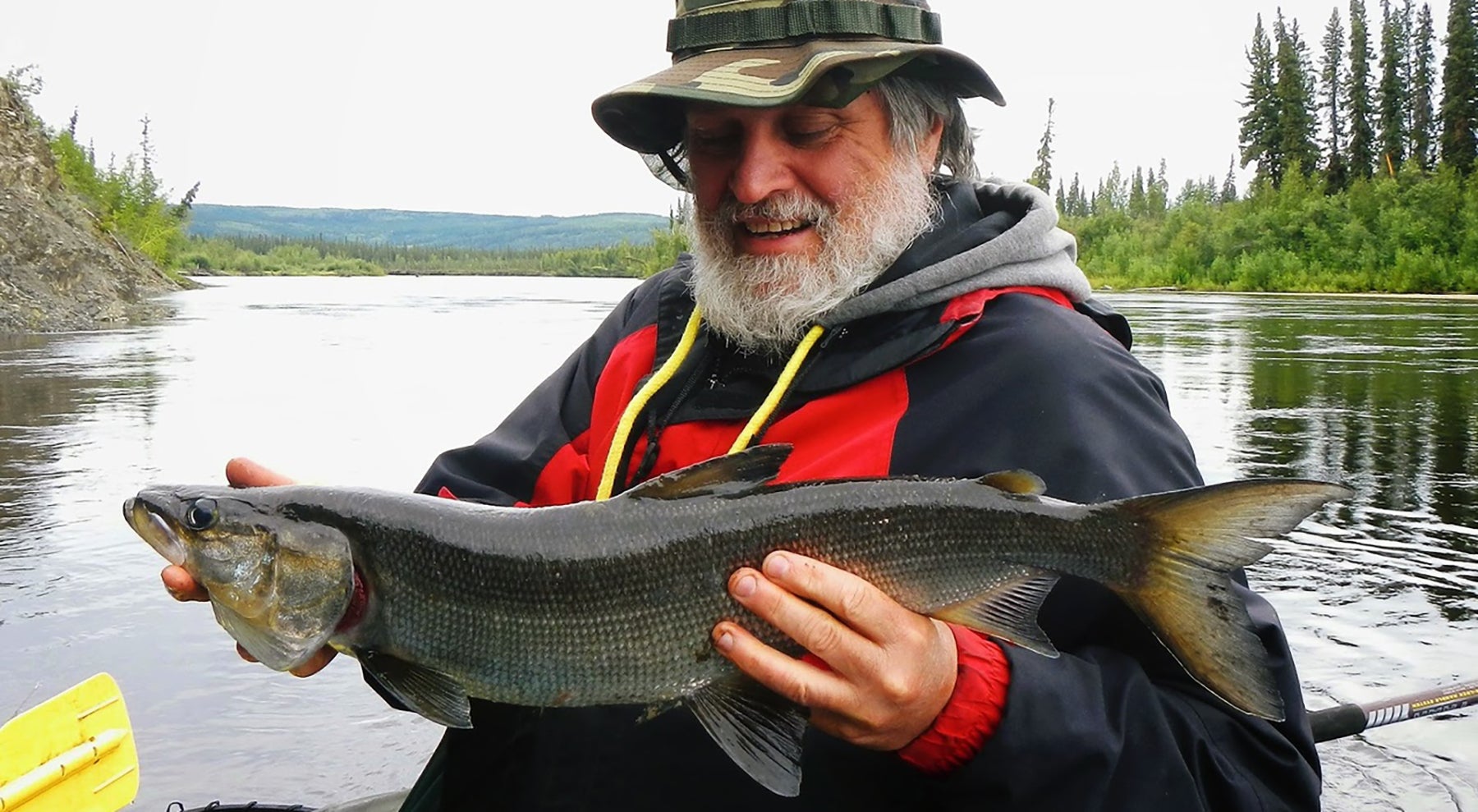 Insane Surface Fly Sheefish Action (fly fishing, Alaska fishing