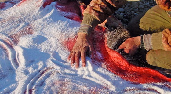 Salting a moose cape on the Dishna River, Alaska