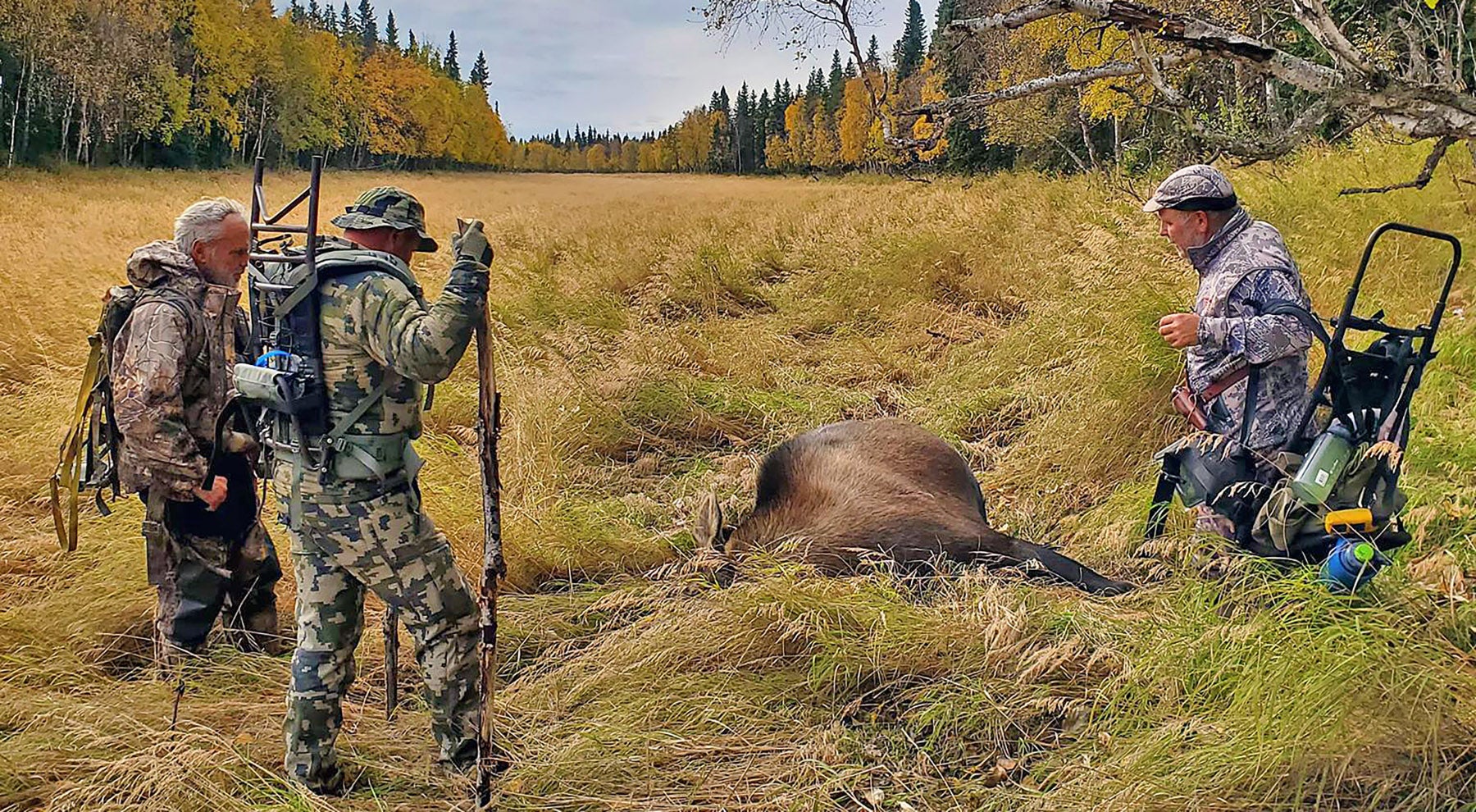 hunting moose