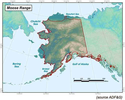 Moose Range in Alaska