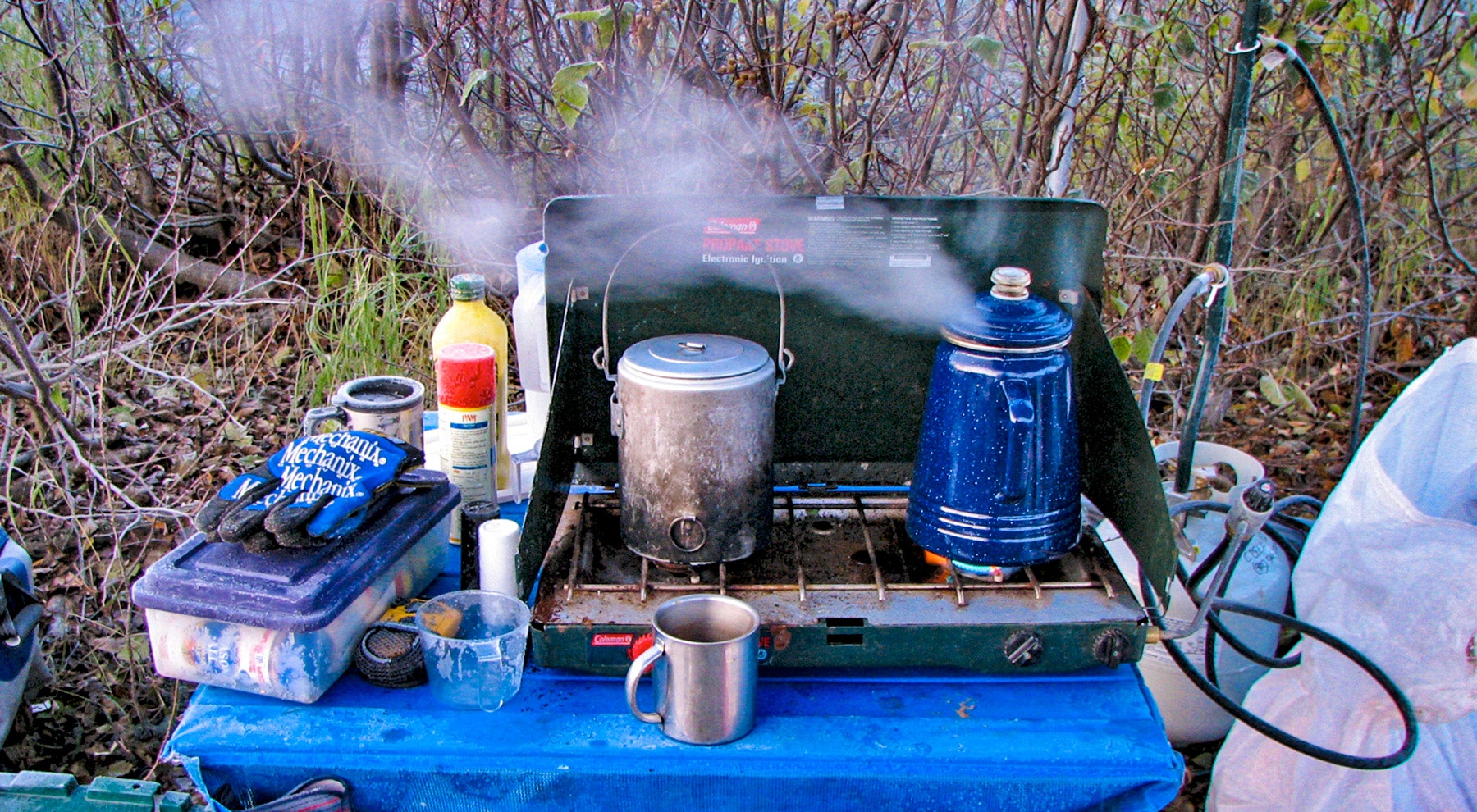 Coleman propane cookstove