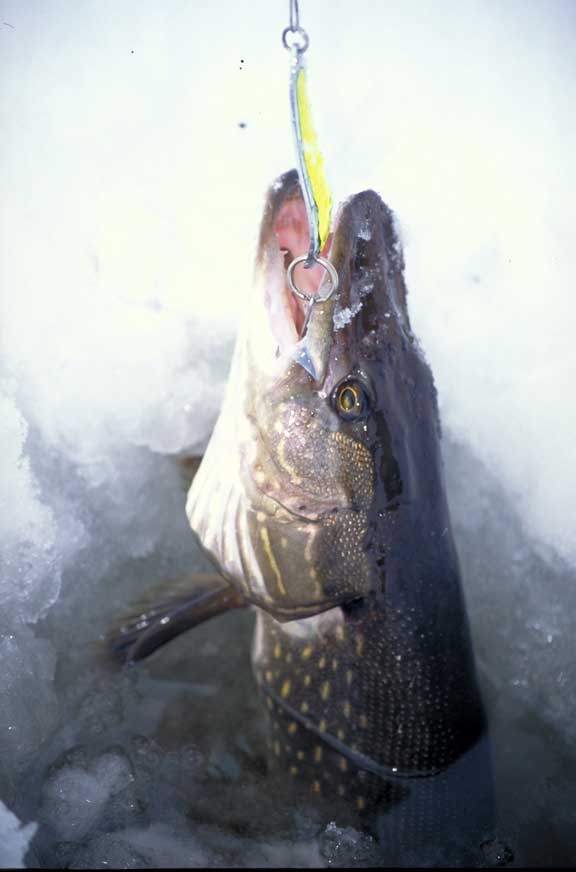 Icefishing Shelters for Alaska, Alaska Ice-Fishing Blog