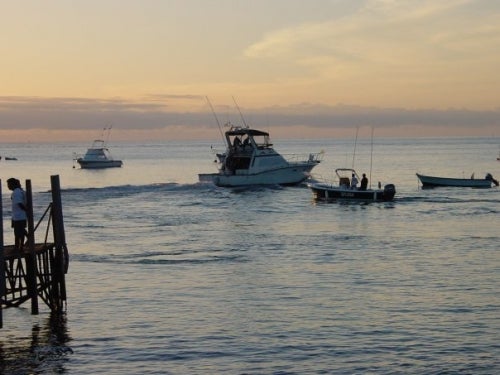 Baja's East Cape- Striped Marlin Capitol of the World - Alaska