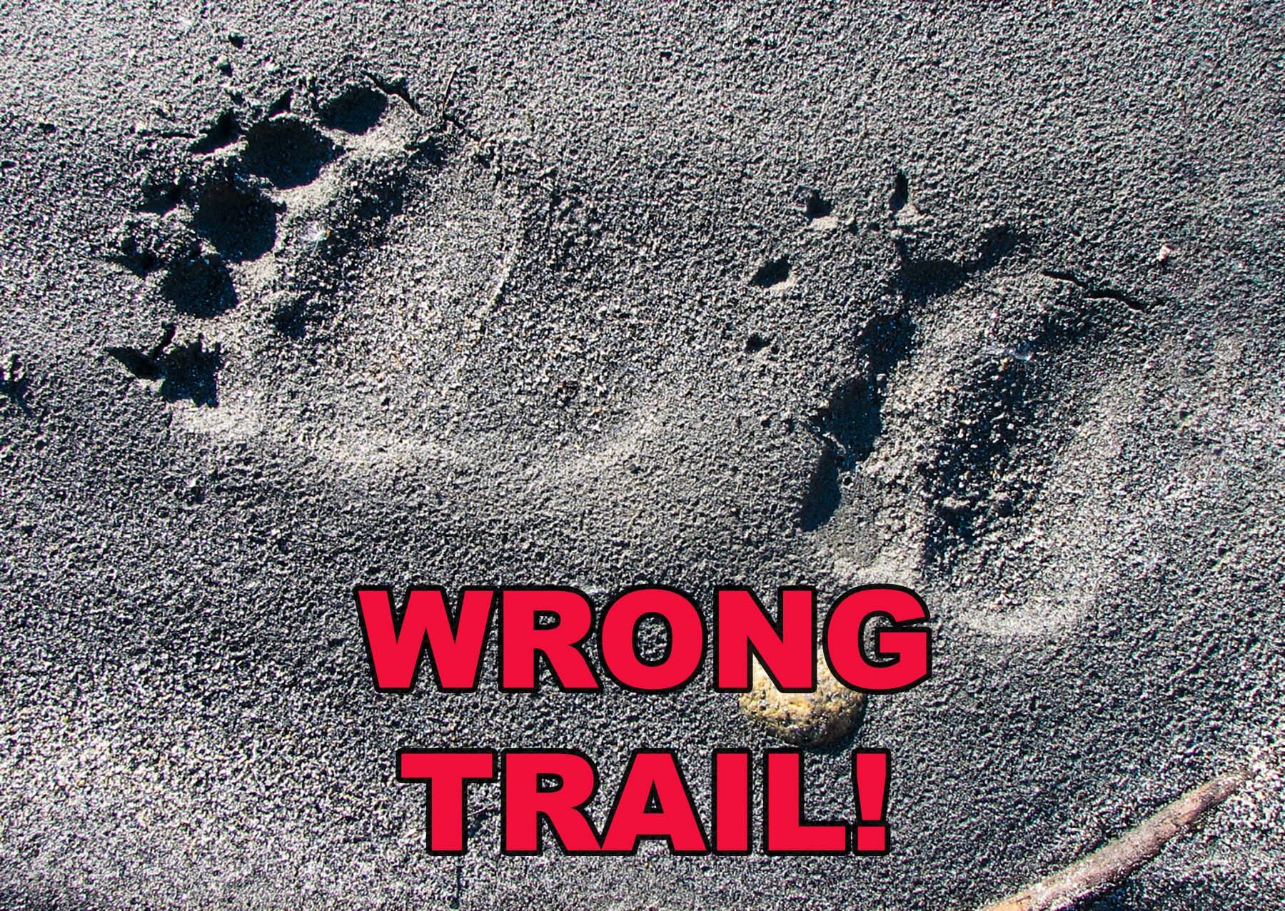 wrong trail